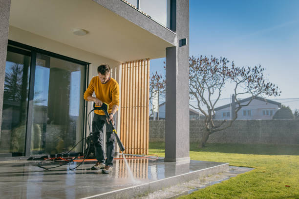 Best Solar Panel Cleaning  in Emmon, AK