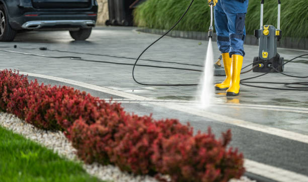Best Dumpster Area Cleaning  in Emmon, AK